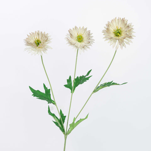 29" DAISY SPRAY