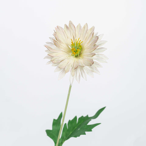 29" DAISY SPRAY