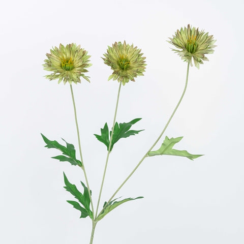 29" DAISY SPRAY