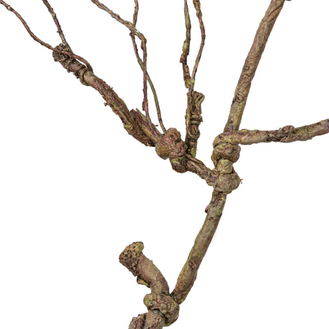 33" TWIG LEAF BRANCH
