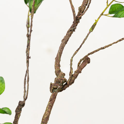 33" TWIG LEAF BRANCH