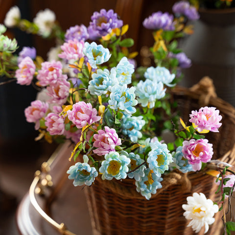 14" DAISY BUNDLE X 5