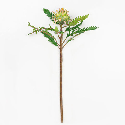 20" ARTICHOKE STEM