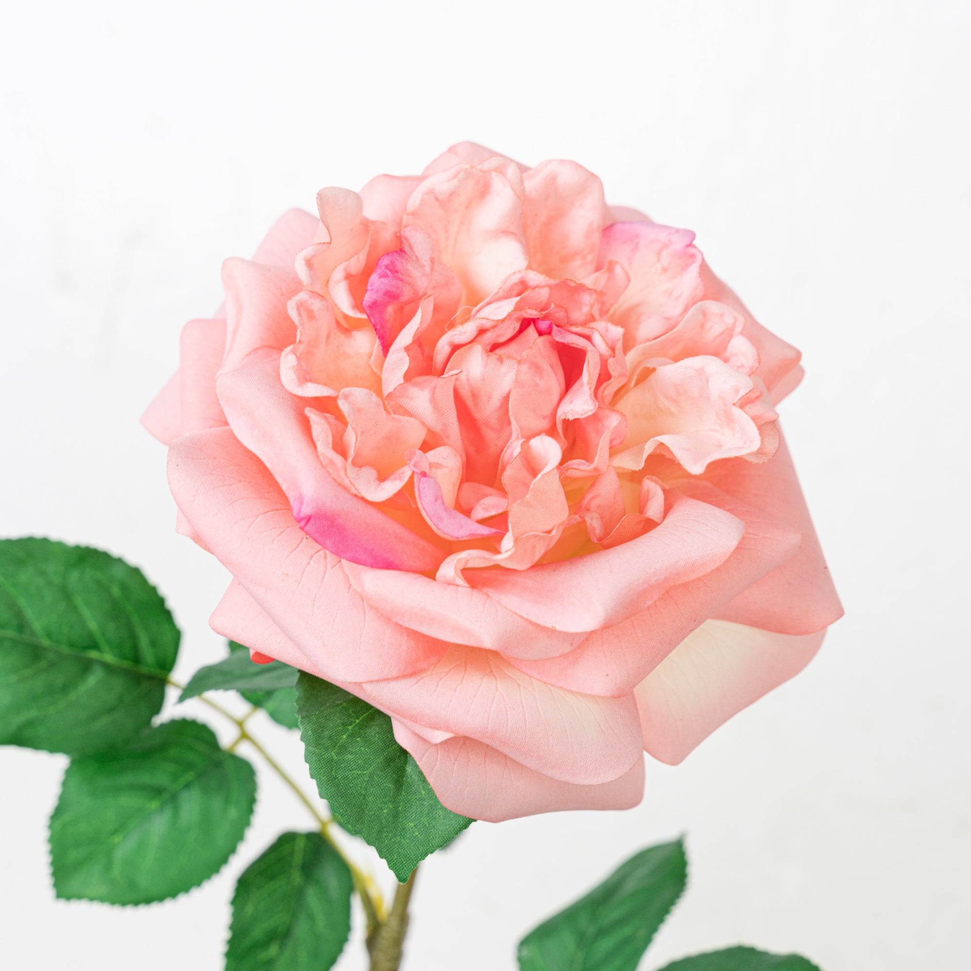 25" REAL TOUCH AUSTIN ROSE STEM HEAD 13CM