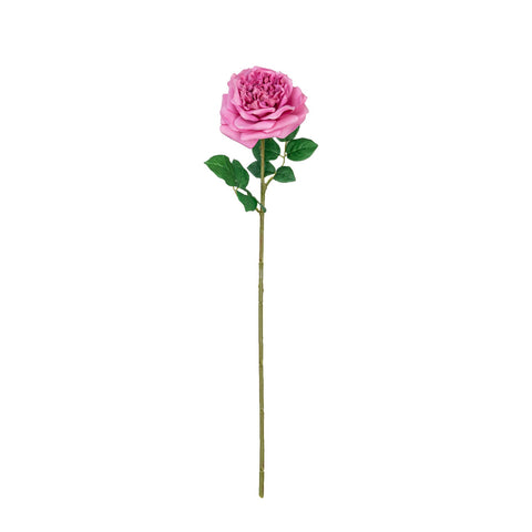 25" REAL TOUCH AUSTIN ROSE STEM HEAD 13CM