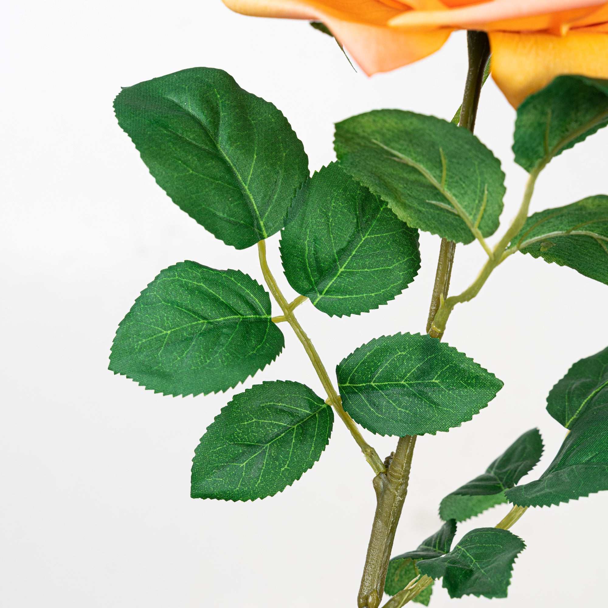 25" REAL TOUCH AUSTIN ROSE STEM HEAD 13CM