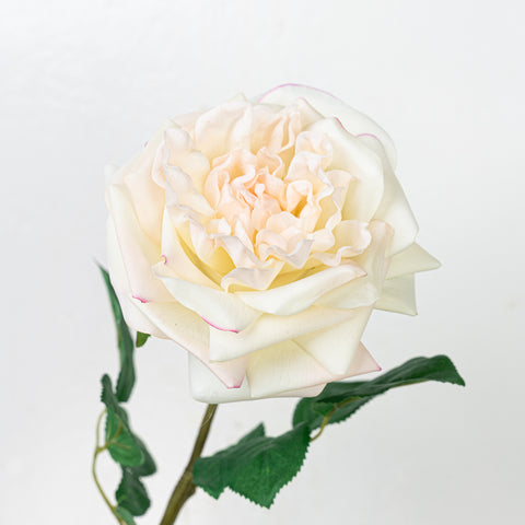 25" REAL TOUCH AUSTIN ROSE STEM HEAD 13CM