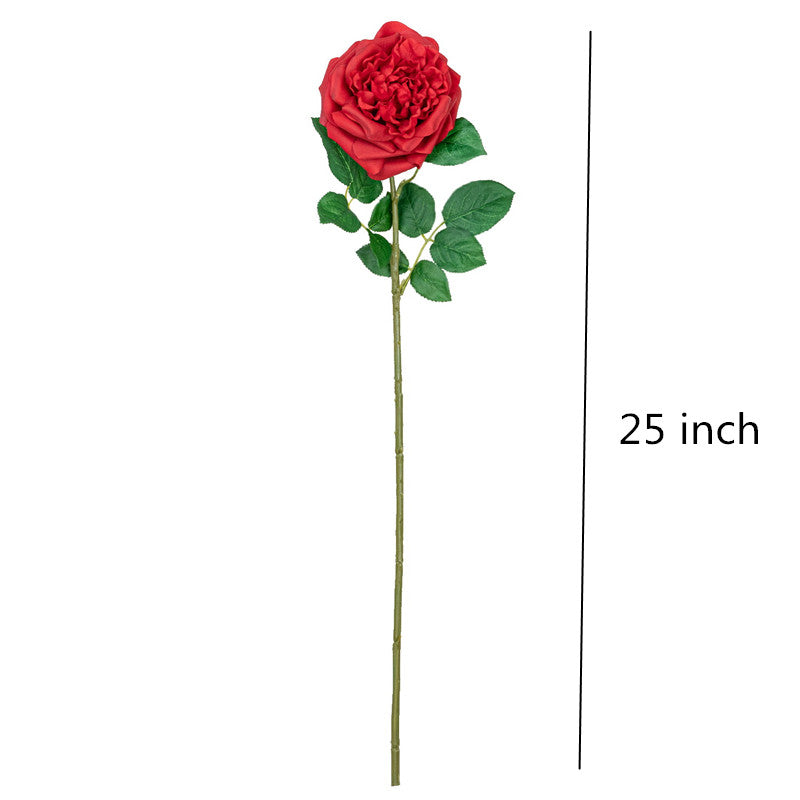 25" REAL TOUCH AUSTIN ROSE STEM HEAD 13CM