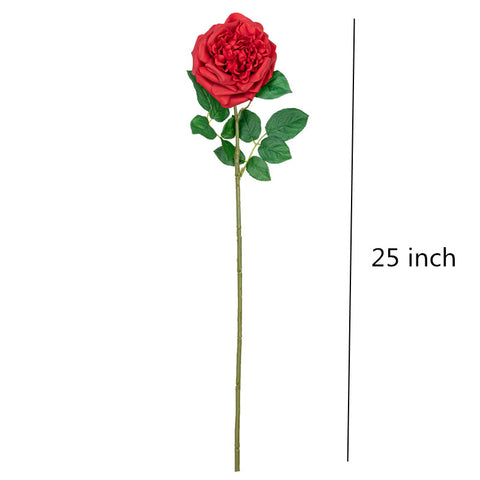 25" REAL TOUCH AUSTIN ROSE STEM HEAD 13CM