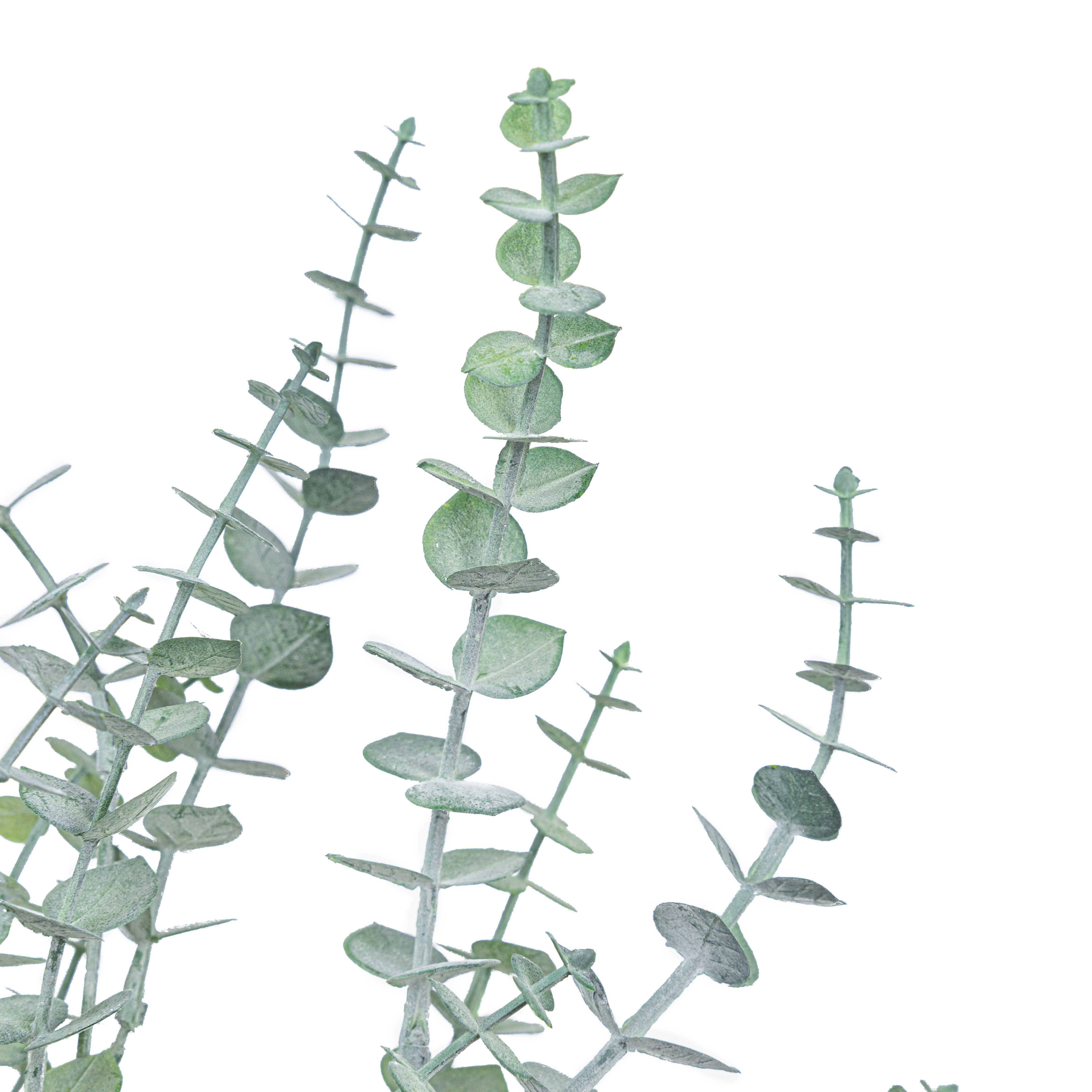 24" EUCALYPTUS LEAF BUSH X 7