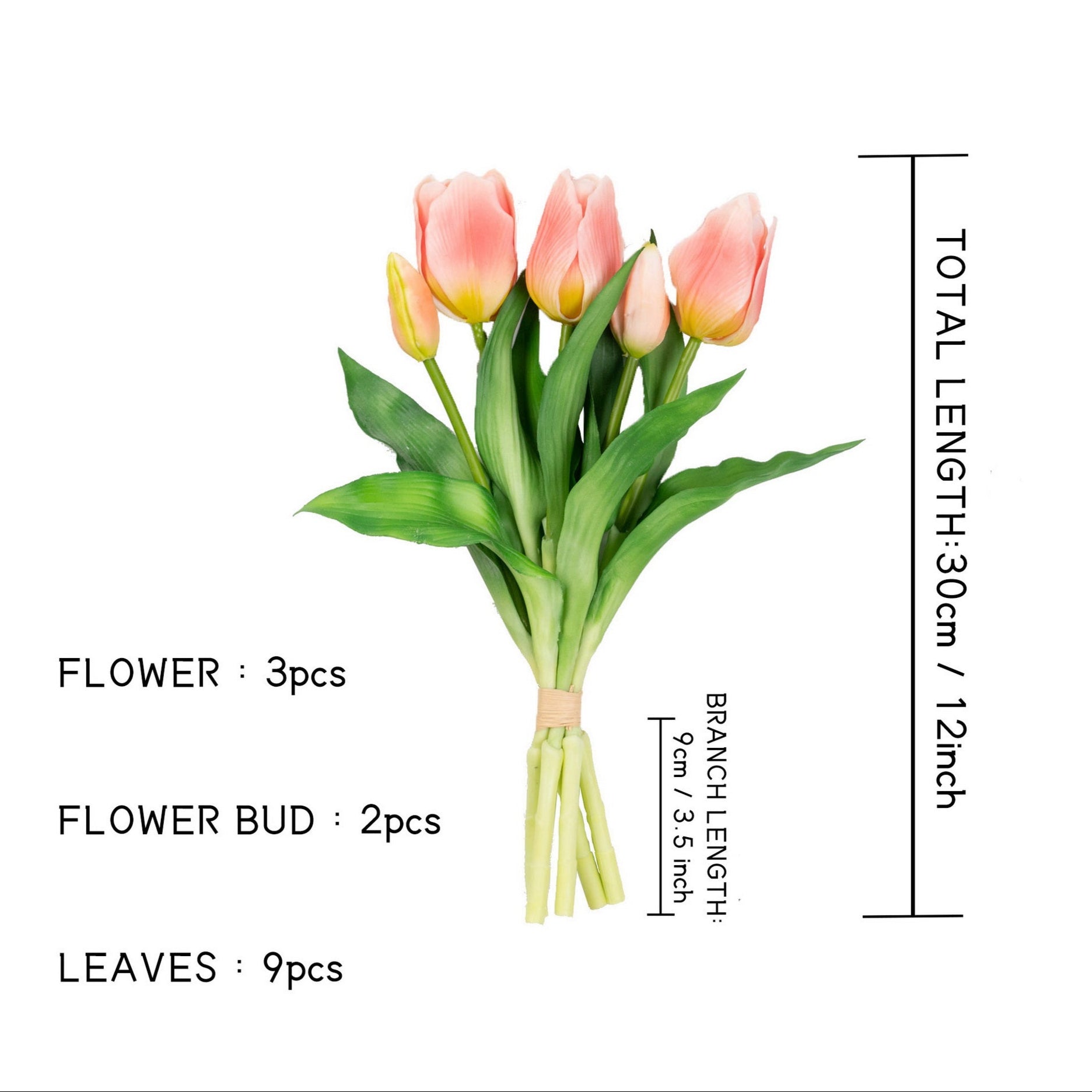 12" TULIP BUNDLE X 5