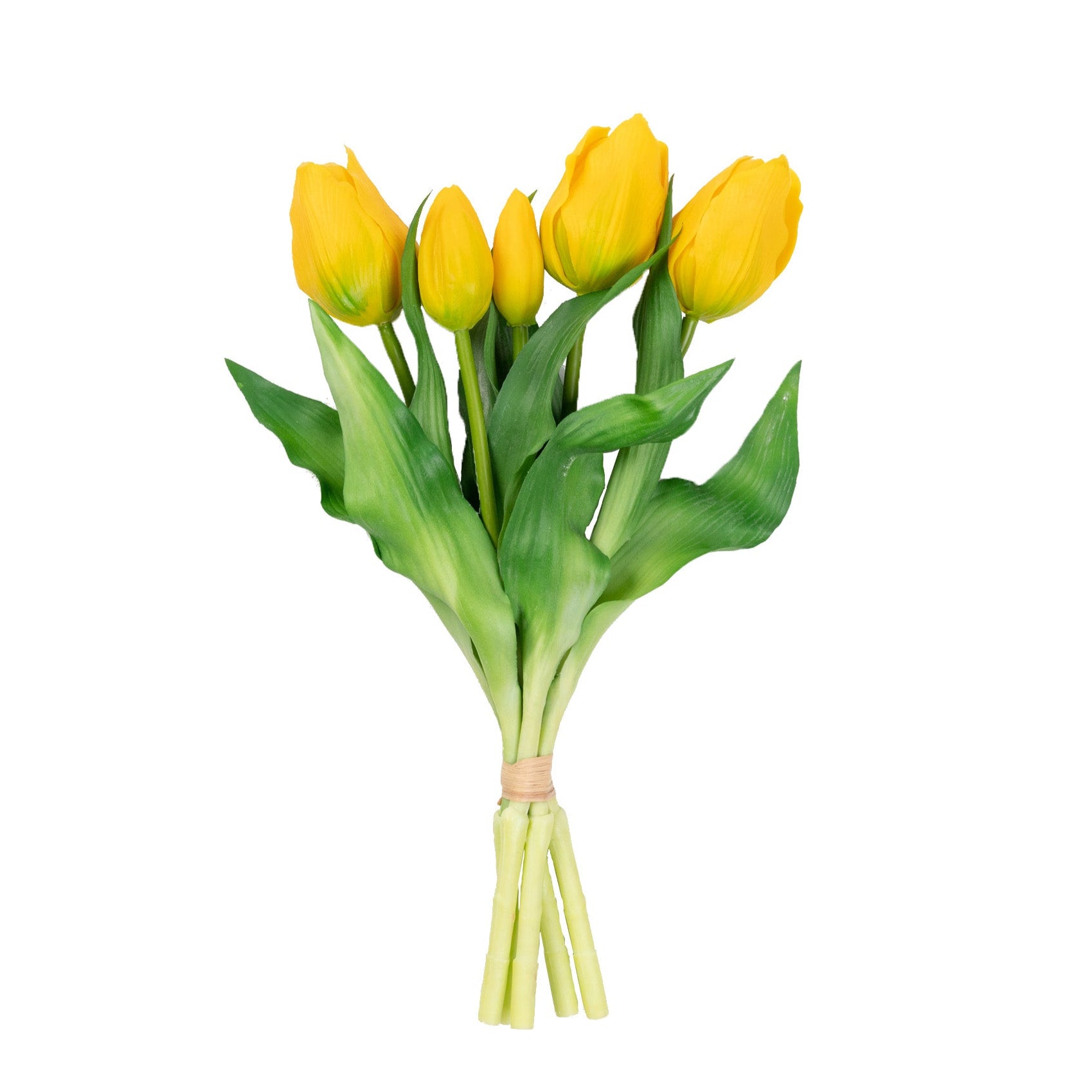 12" TULIP BUNDLE X 5