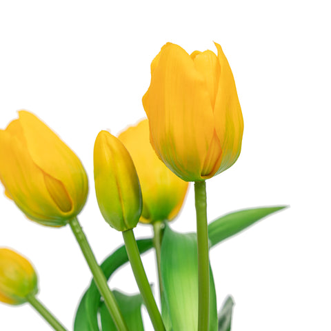 12" TULIP BUNDLE X 5