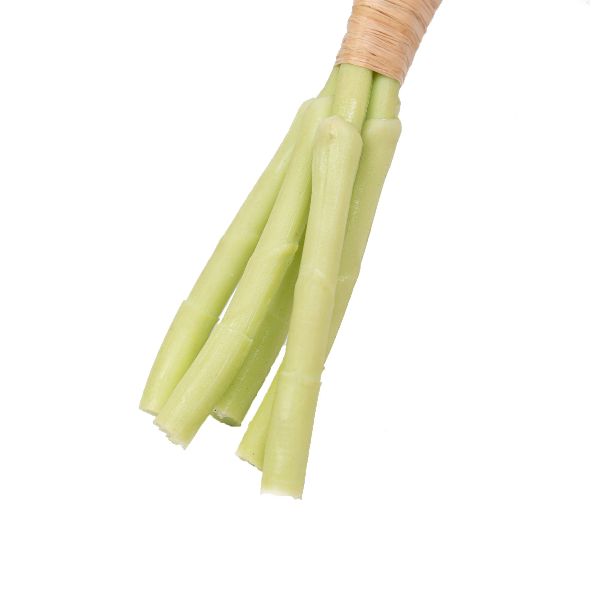 12" TULIP BUNDLE X 5
