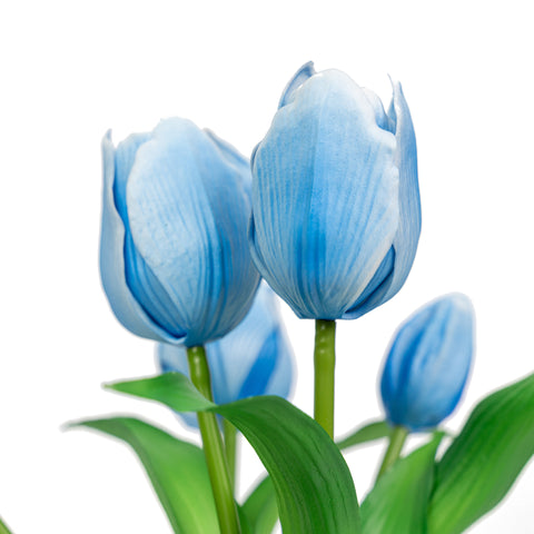 12" TULIP BUNDLE X 5