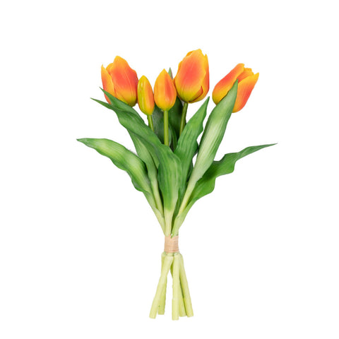 12" TULIP BUNDLE X 5