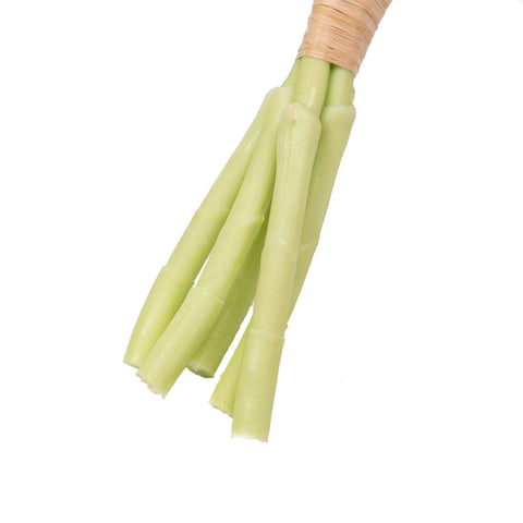 12" TULIP BUNDLE X 5