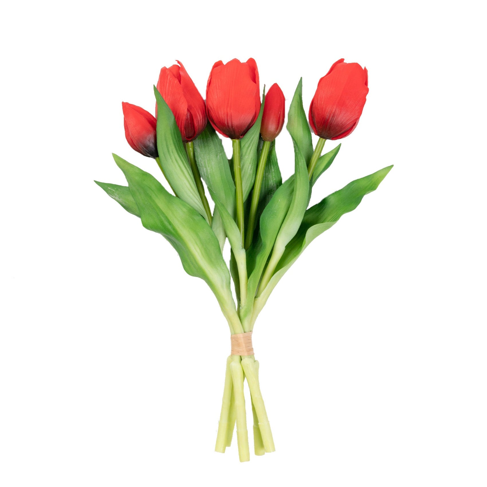 12" TULIP BUNDLE X 5