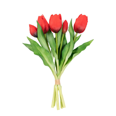 12" TULIP BUNDLE X 5