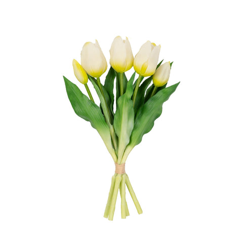 12" TULIP BUNDLE X 5
