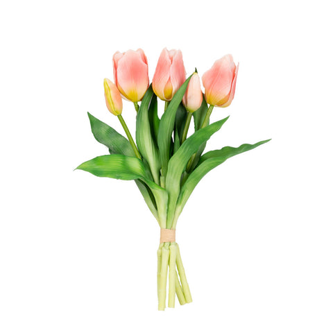 12" TULIP BUNDLE X 5