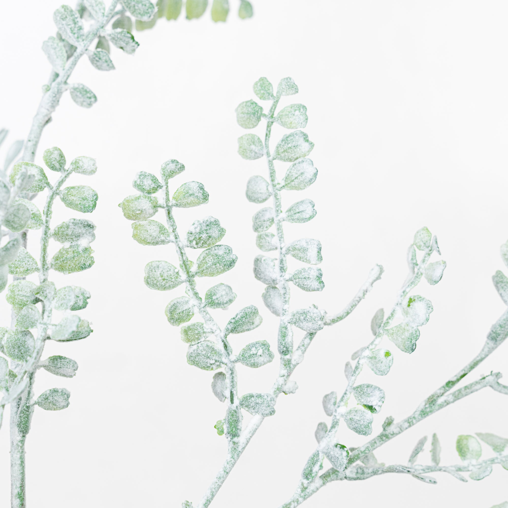 40" FLOCKING BOXWOOD SPRAY