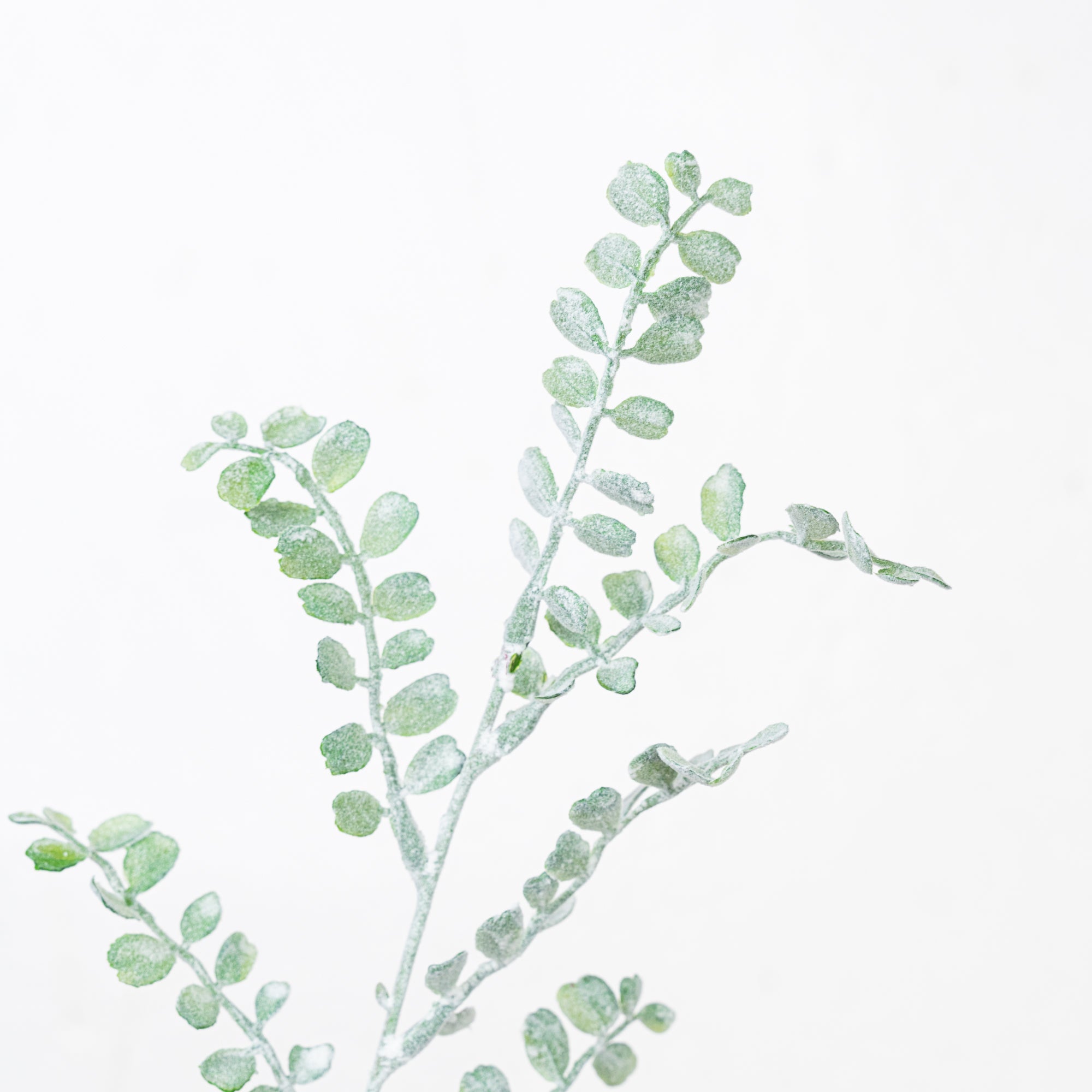 40" FLOCKING BOXWOOD SPRAY