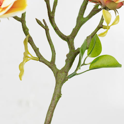 26.5" MAGNOLIA SPRAY