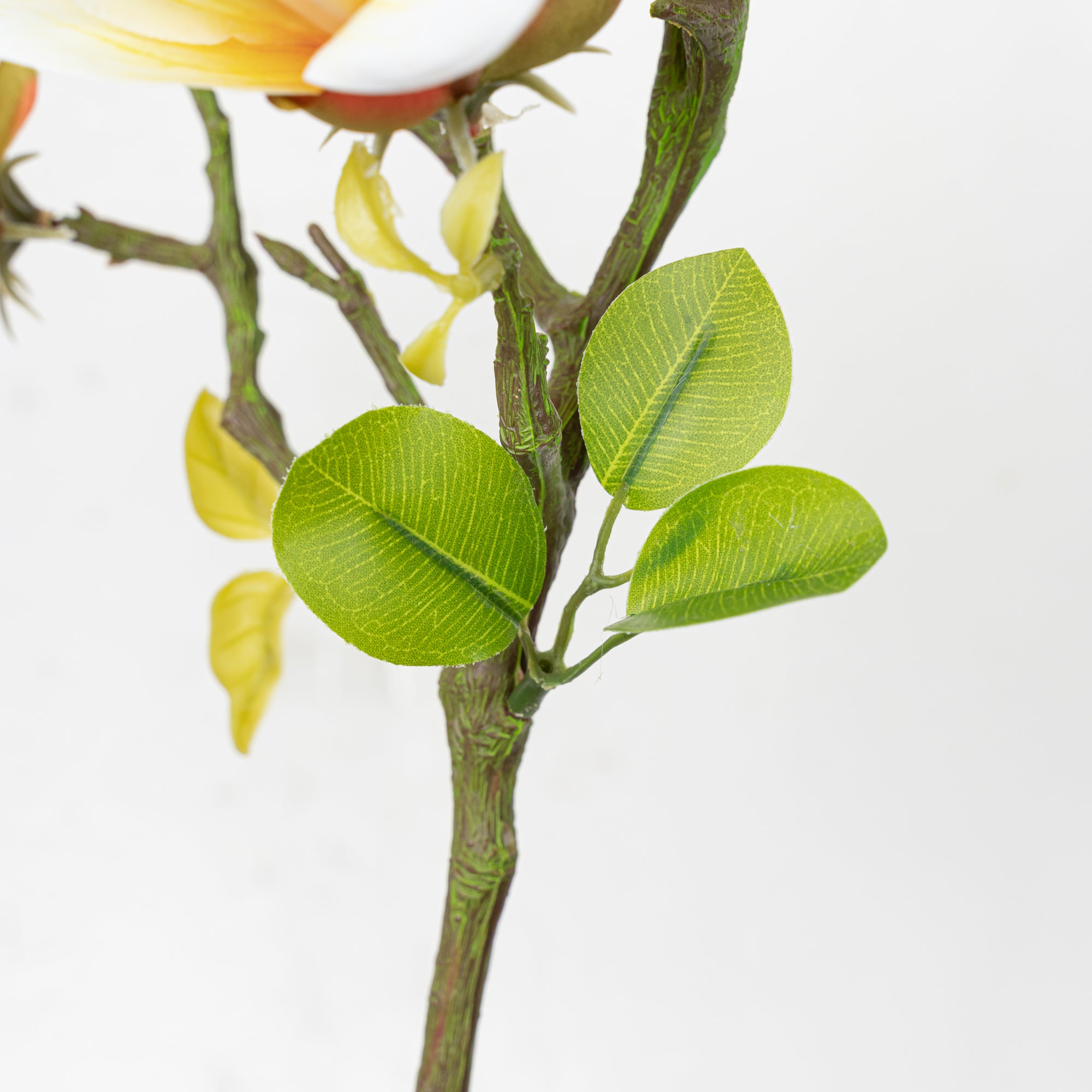 26.5" MAGNOLIA SPRAY