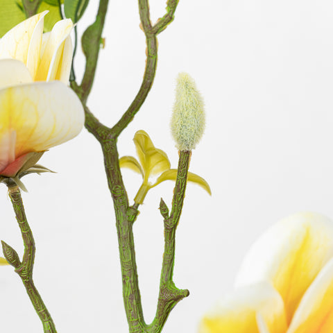 26.5" MAGNOLIA SPRAY