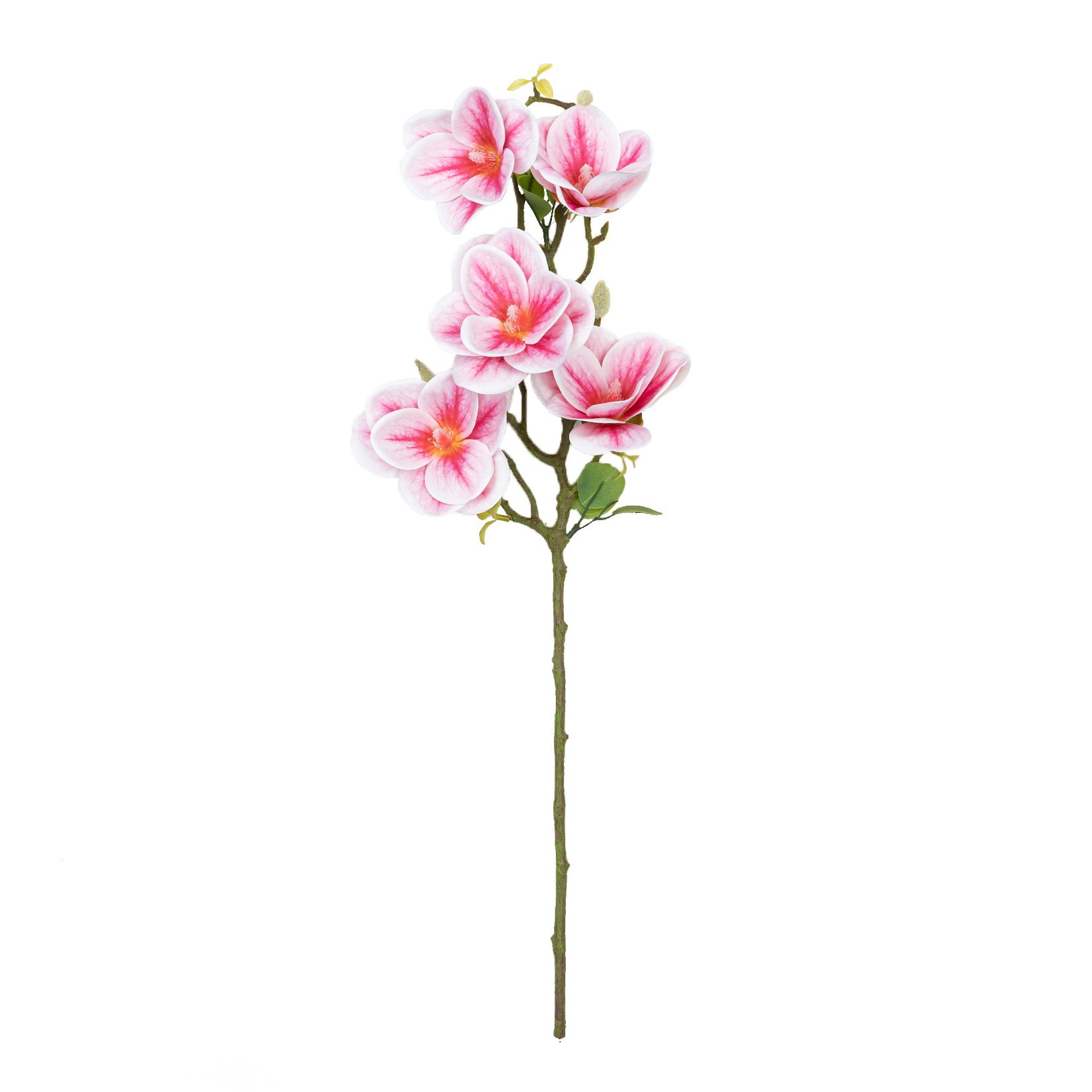 26.5" MAGNOLIA SPRAY