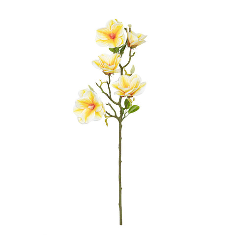 26.5" MAGNOLIA SPRAY