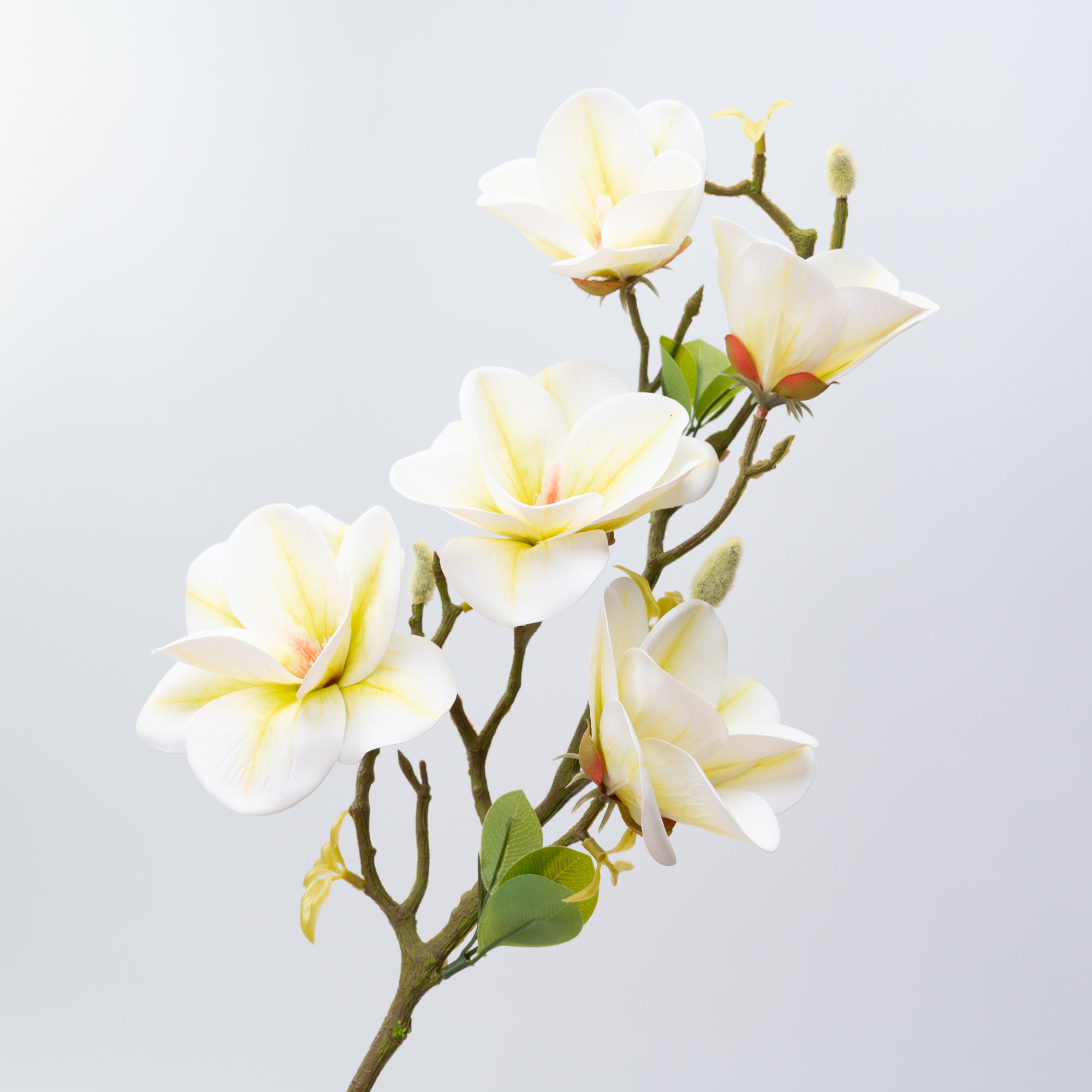 26.5" MAGNOLIA SPRAY