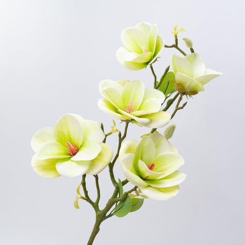 26.5" MAGNOLIA SPRAY