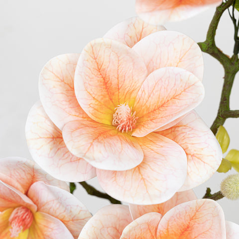 26.5" MAGNOLIA SPRAY