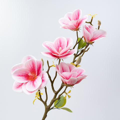 26.5" MAGNOLIA SPRAY