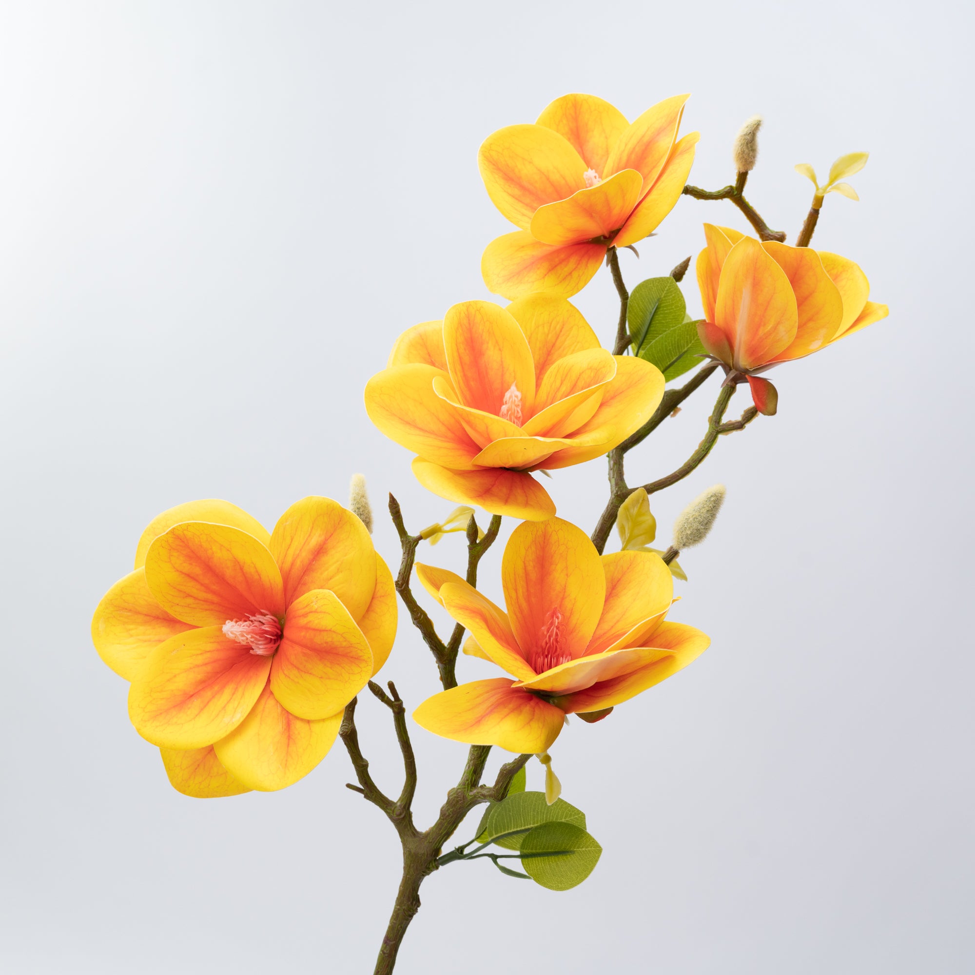 26.5" MAGNOLIA SPRAY