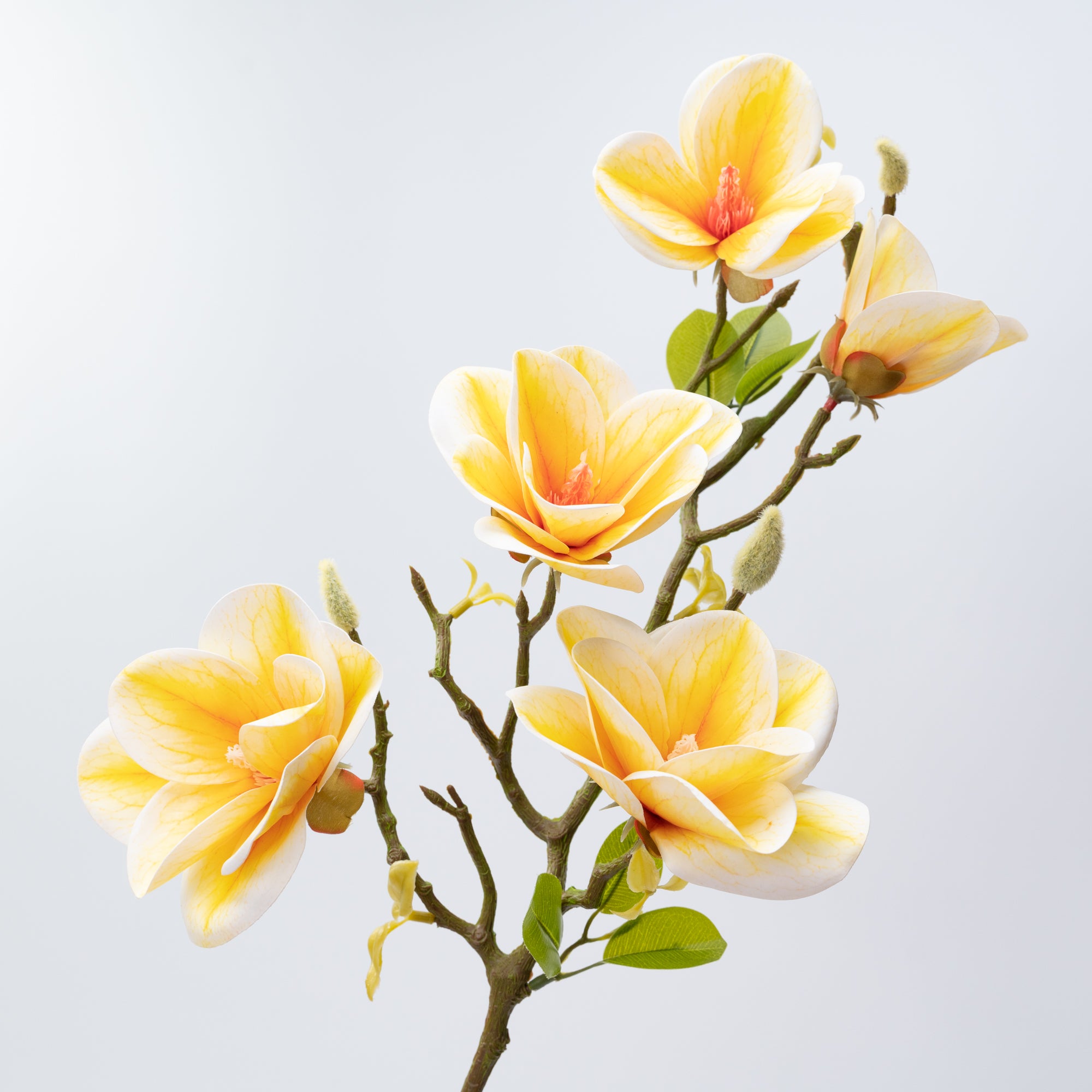 26.5" MAGNOLIA SPRAY