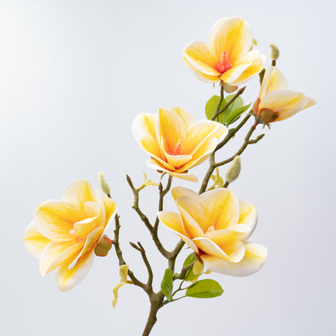 26.5" MAGNOLIA SPRAY