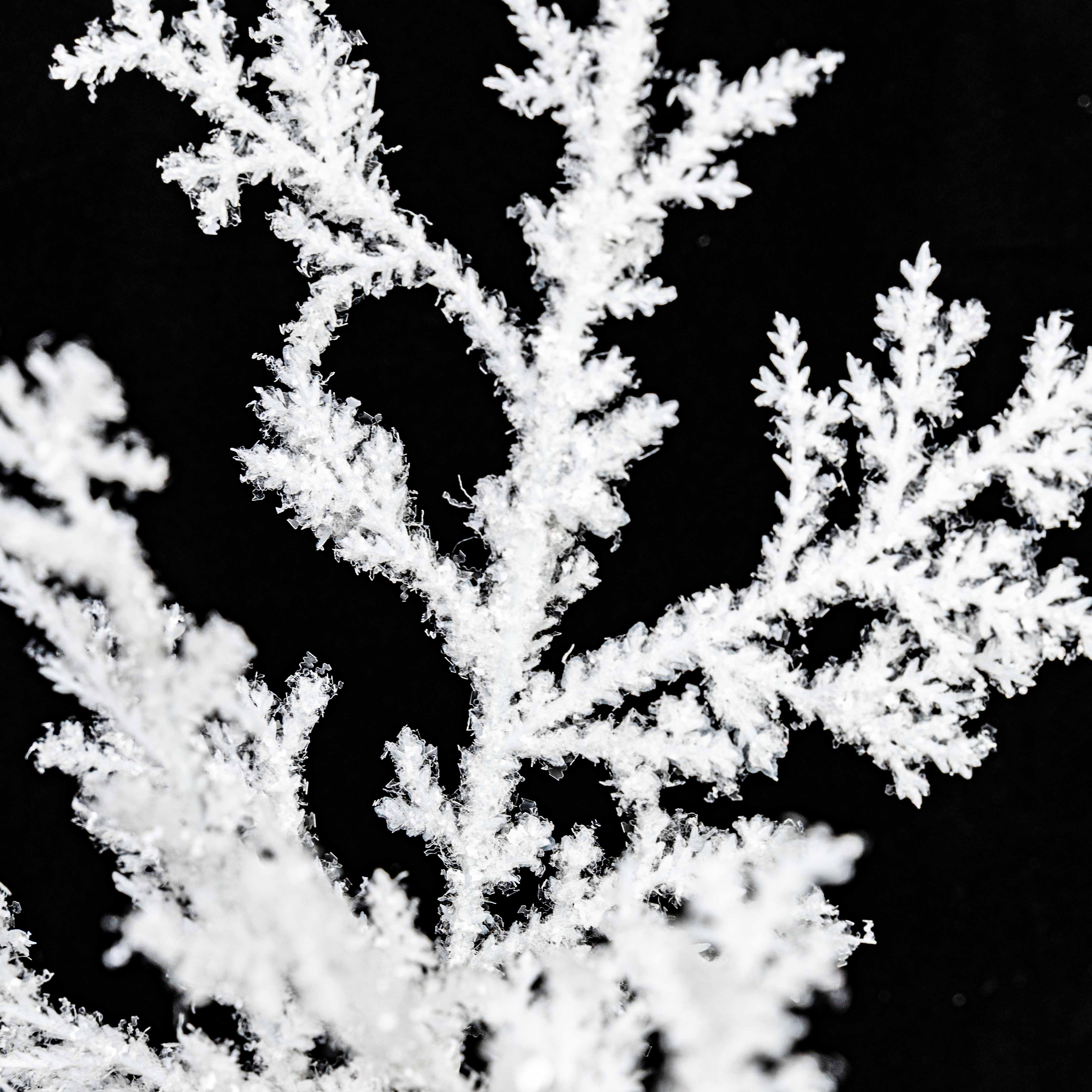 29" GLITTER CEDAR SPRAY