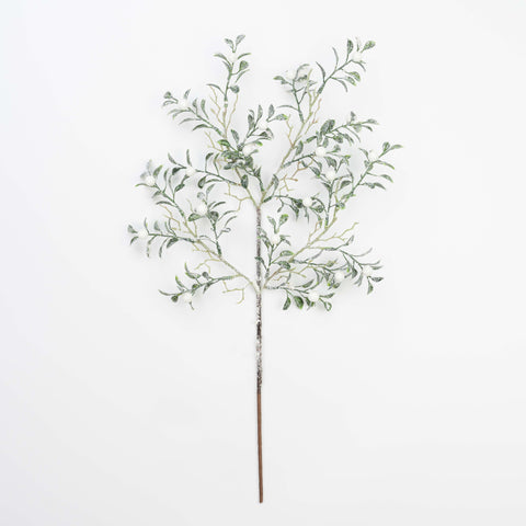 24.5" SNOW BOXWOOD BERRY SPRAY
