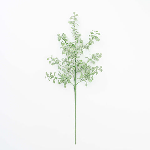 21" FROST BOXWOOD SPRAY
