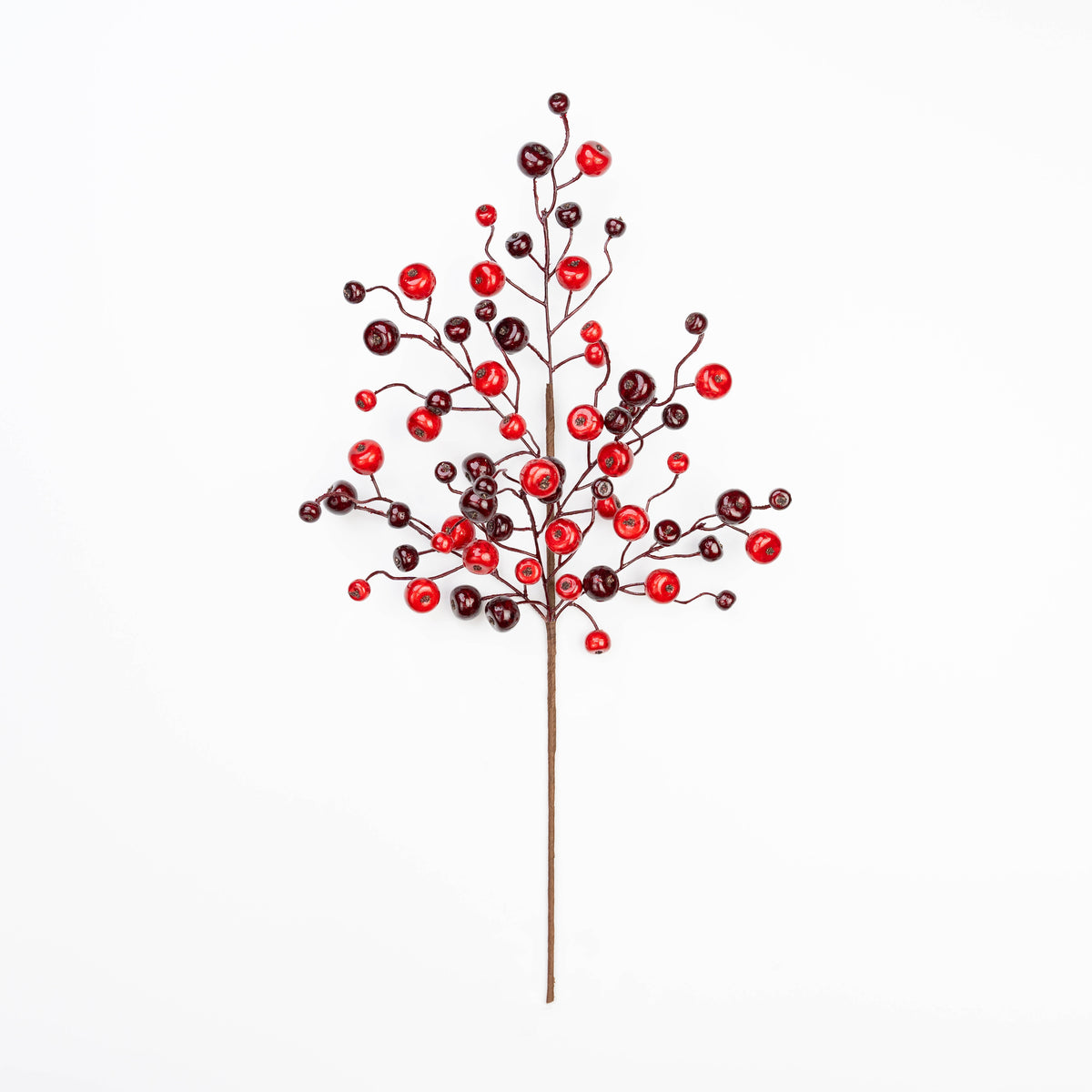 24" BERRY SPRAY