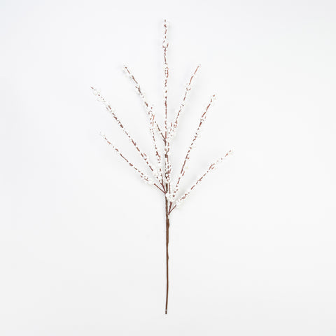 32" BERRY SPARY