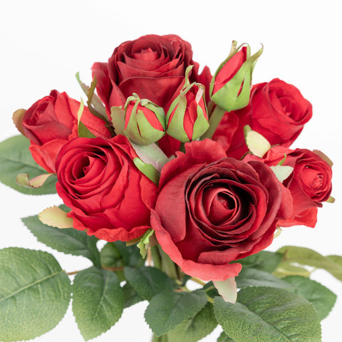 12" ROSE BUNDLE X 9