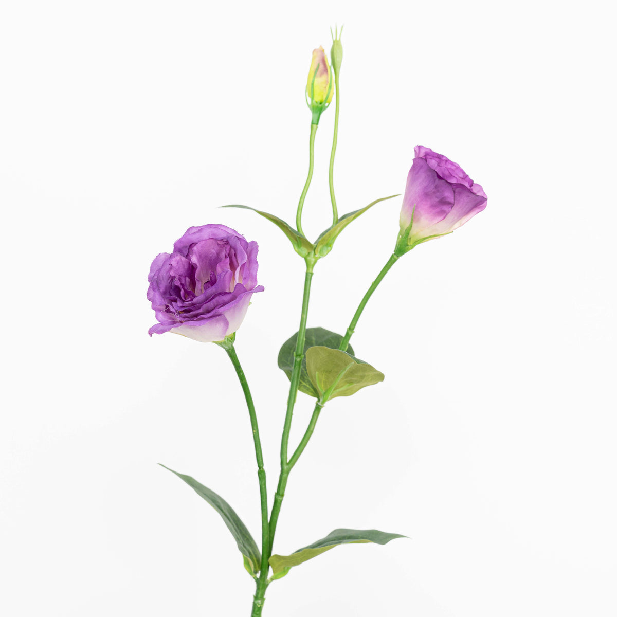 26" LISIANTHUS SPRAY