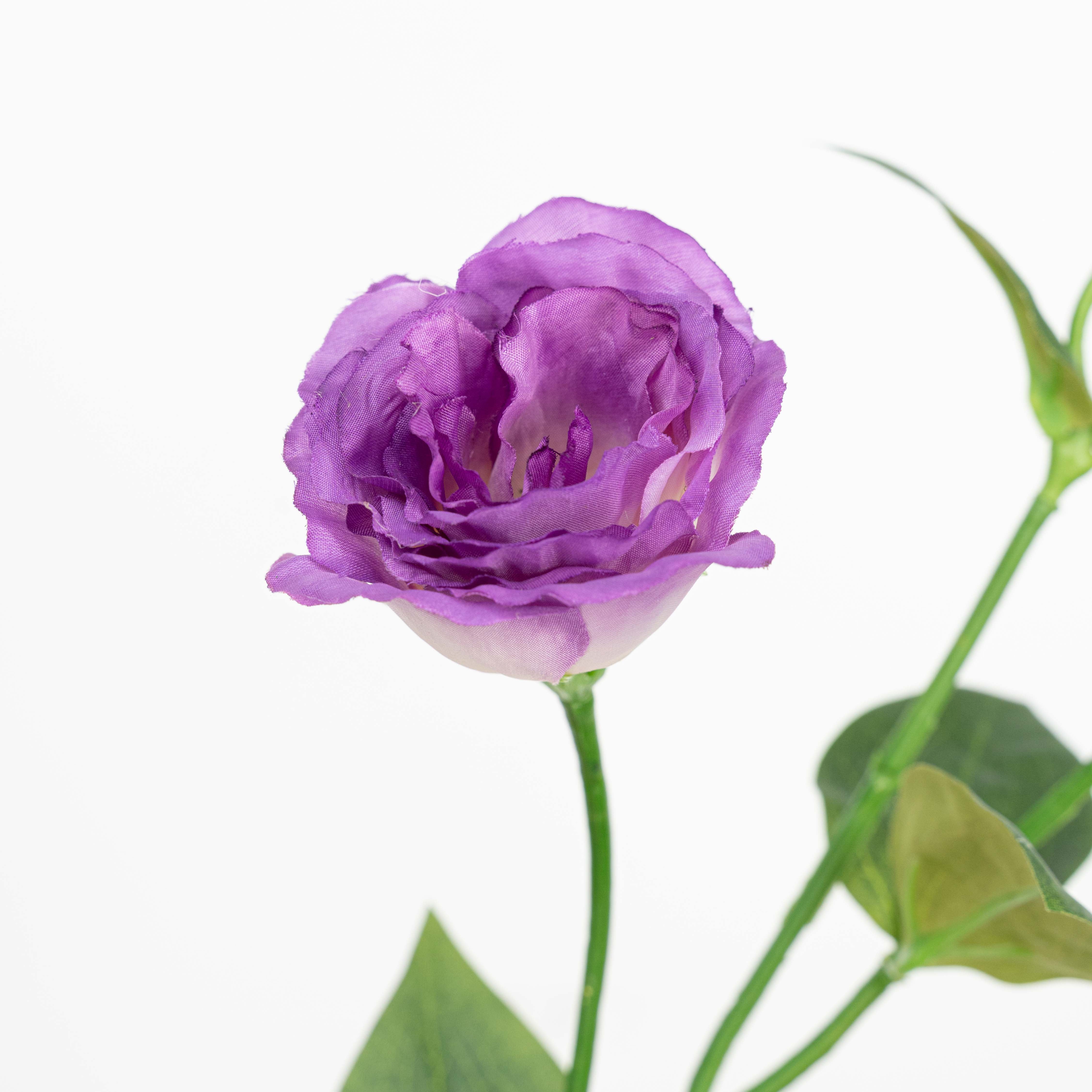 26" LISIANTHUS SPRAY