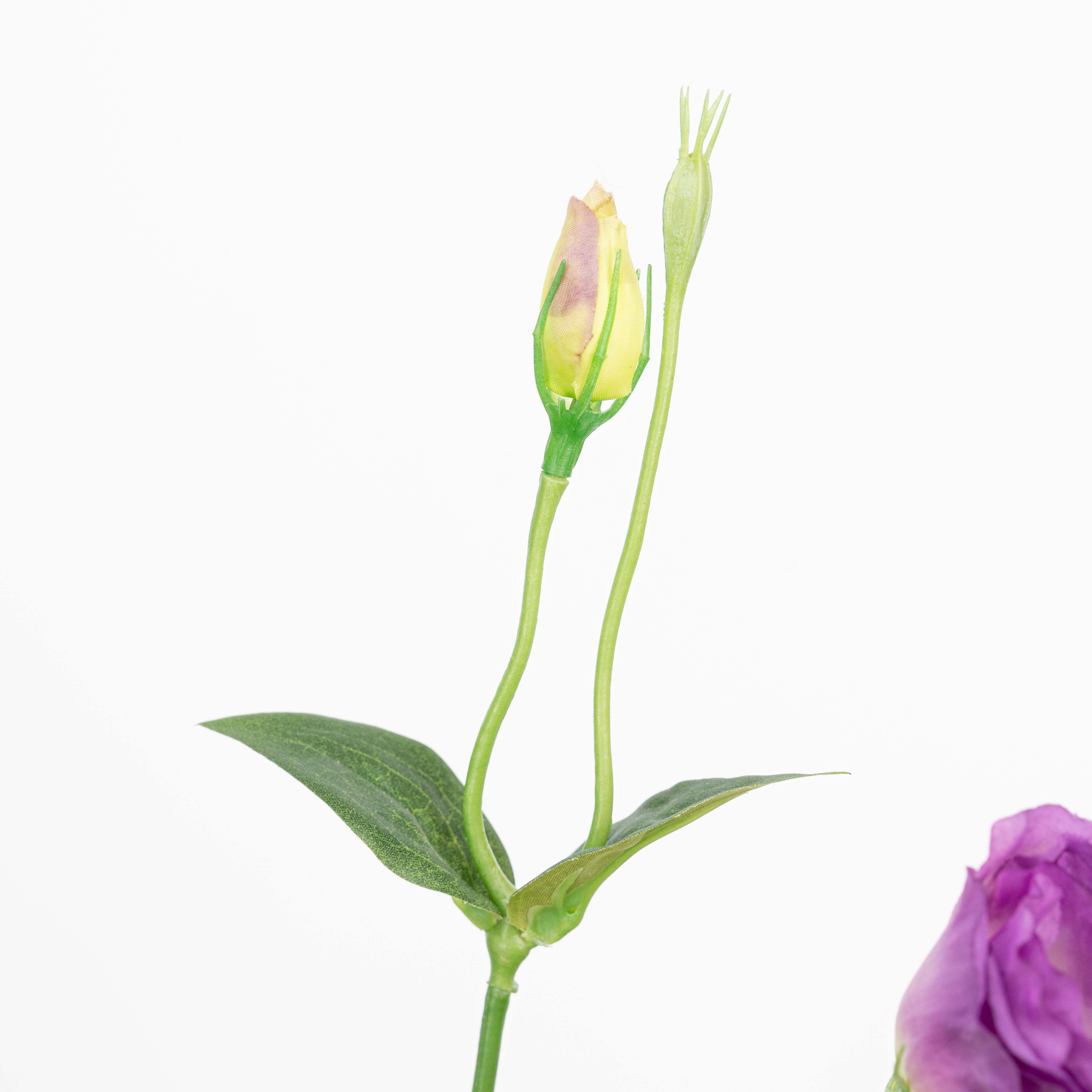 26" LISIANTHUS SPRAY