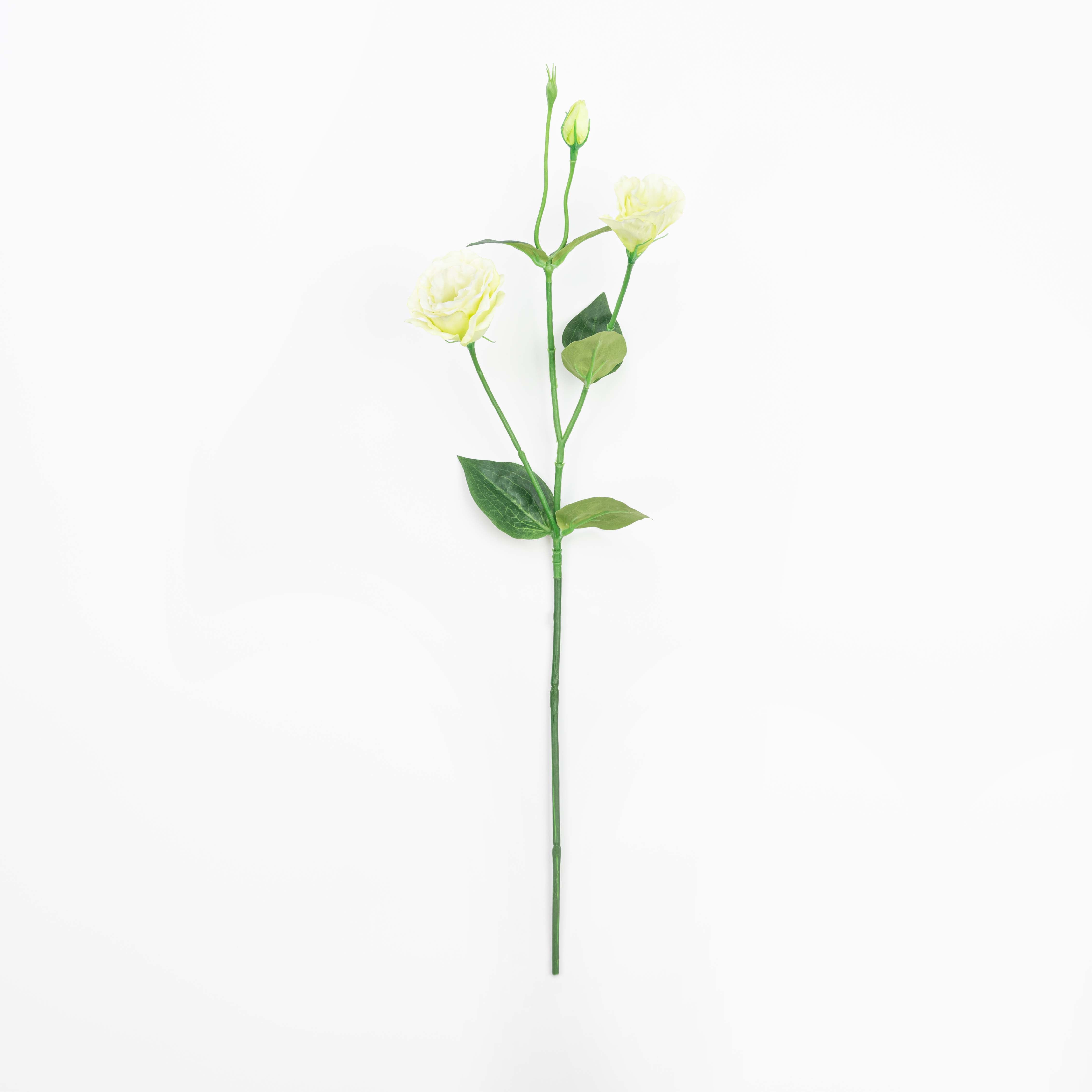 26" LISIANTHUS SPRAY