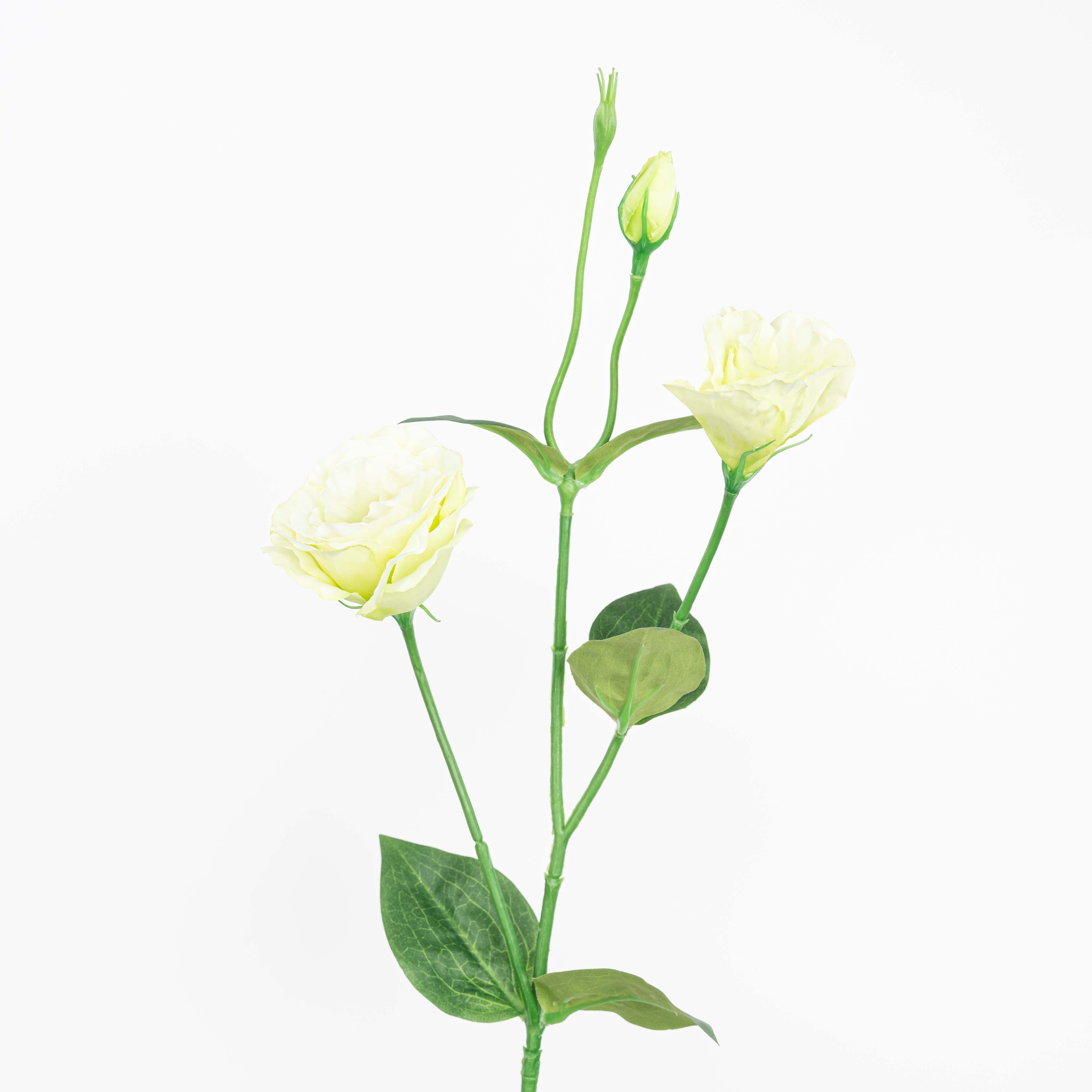 26" LISIANTHUS SPRAY